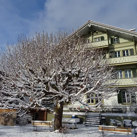 Backpackers Villa Sonnenhof - Hostel Interlaken-3